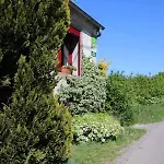 Gitavesnois - 4910 - * Willies