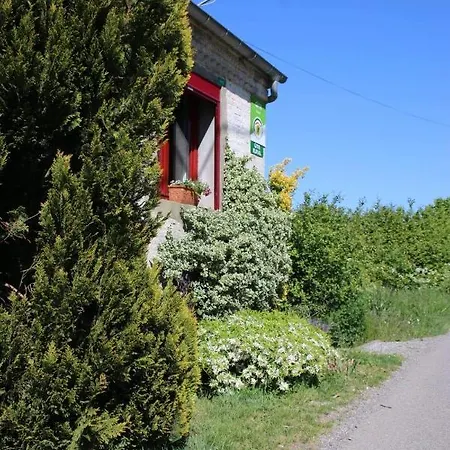 Gitavesnois - 4910 - * Willies