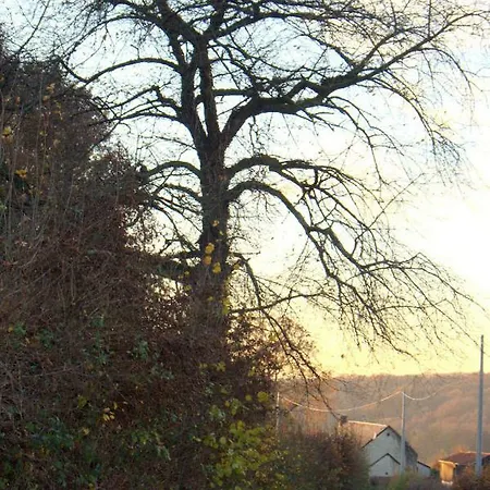 Gitavesnois - 4910 -