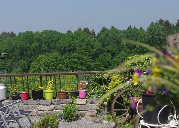 Gitavesnois - 4910 - * Willies