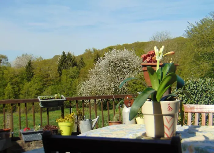 Gitavesnois - 4910 - *